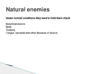 The control of forest insects-general considerations #15