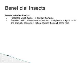 The control of forest insects-general considerations #16