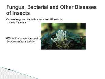 The control of forest insects-general considerations #21