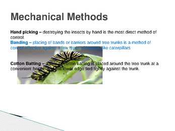 The control of forest insects-general considerations #23