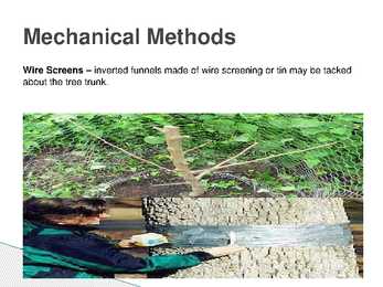 The control of forest insects-general considerations #24