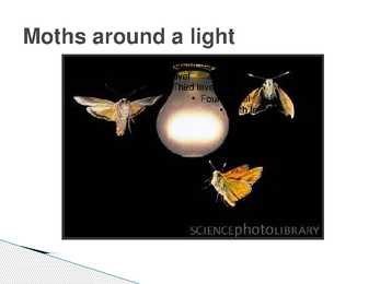 The control of forest insects-general considerations #9