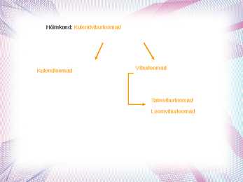 Algloomad powerpoint esitlus #2