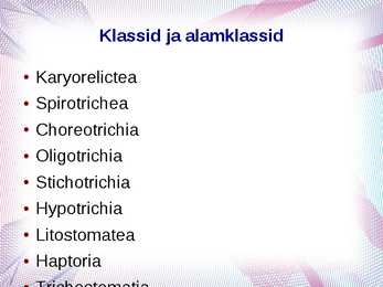 Algloomad powerpoint esitlus #7