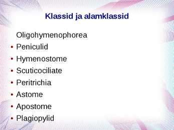 Algloomad powerpoint esitlus #8