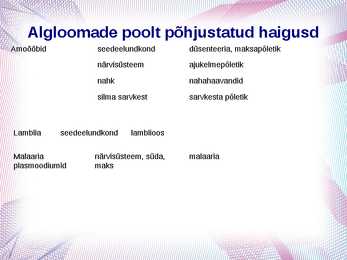 Algloomad powerpoint esitlus #9