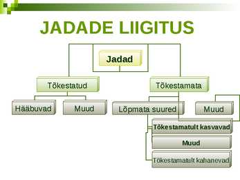 Jadad #4