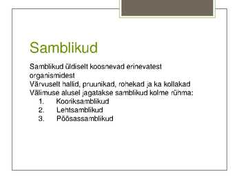 Eesti Samblikud #3