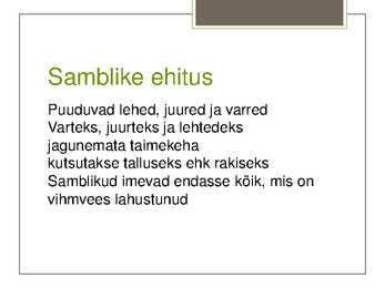 Eesti Samblikud #4