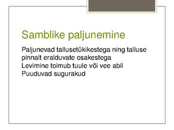 Eesti Samblikud #5