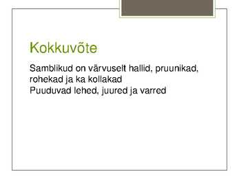 Eesti Samblikud #10
