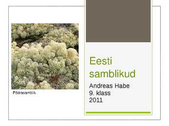 Eesti Samblikud