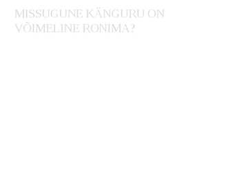 Känguru - esitlus #9