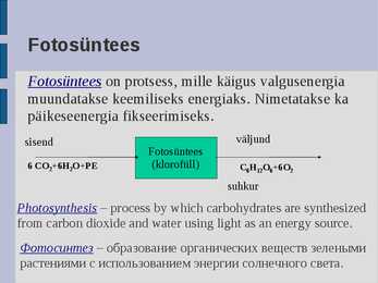 Ökoloogia energia loeng #34