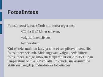 Ökoloogia energia loeng #35