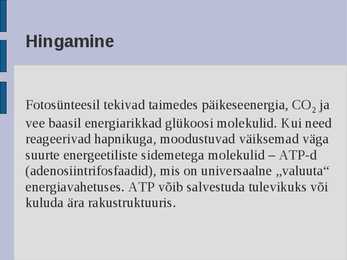 Ökoloogia energia loeng #40