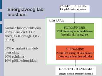 Ökoloogia energia loeng #44