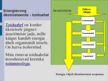 Ökoloogia energia loeng #45