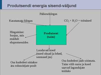 Ökoloogia energia loeng #47