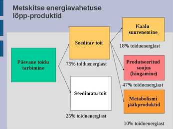 Ökoloogia energia loeng #50