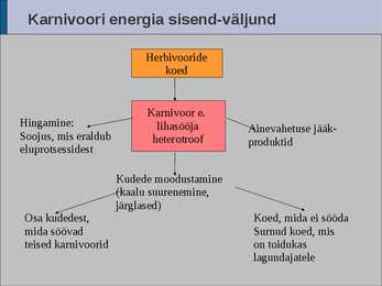 Ökoloogia energia loeng #52
