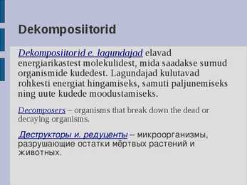 Ökoloogia energia loeng #54