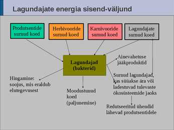 Ökoloogia energia loeng #55
