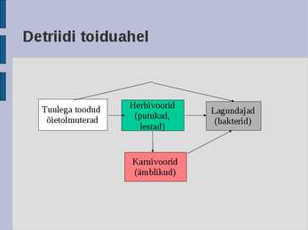 Ökoloogia energia loeng #58