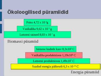 Ökoloogia energia loeng #64