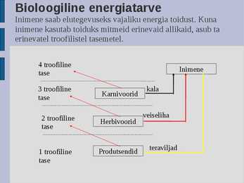 Ökoloogia energia loeng #74