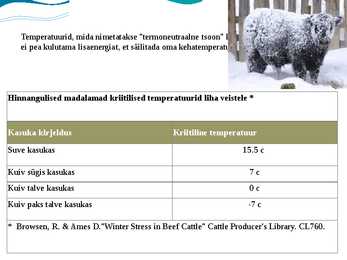 Külma stress veistel- Cold stress in beef cattle #3