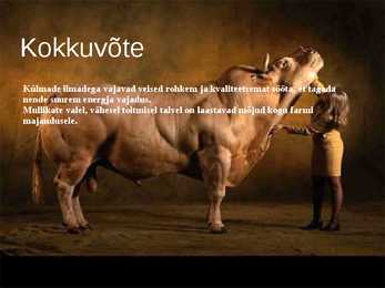 Külma stress veistel- Cold stress in beef cattle #8