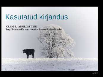 Külma stress veistel- Cold stress in beef cattle #9