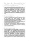 Õpimapp-Koolikiusamine #4