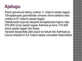 Leopard - esitlus #2