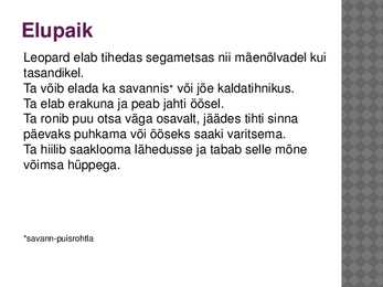 Leopard - esitlus #4