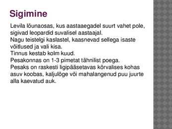 Leopard - esitlus #6