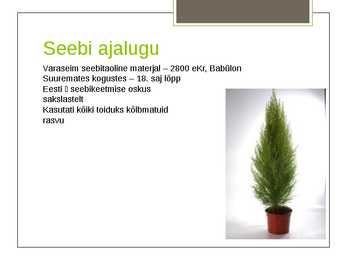 Keemia - seebid #3
