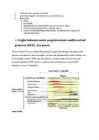Majandusinfosusteemid KT #15