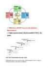 Majandusinfosusteemid KT #19