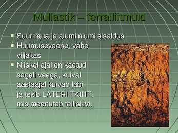 Savannid #4