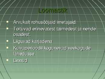 Savannid #7