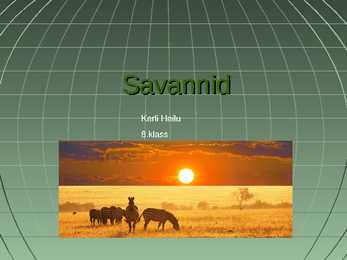 Savannid