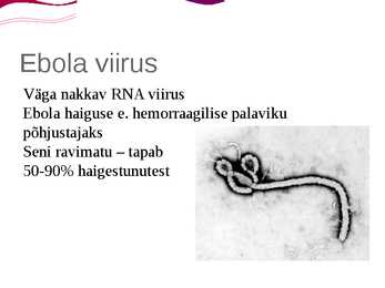 Ebola viirus #2