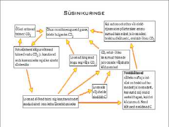 TSÜKLID loeng #58