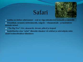 Populaarsemad safarireiside kohad maailmas - powerpoint #2