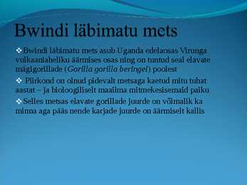 Populaarsemad safarireiside kohad maailmas - powerpoint #12