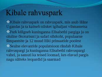Populaarsemad safarireiside kohad maailmas - powerpoint #14