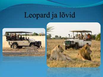 Populaarsemad safarireiside kohad maailmas - powerpoint #15