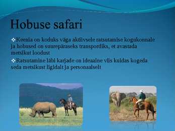 Populaarsemad safarireiside kohad maailmas - powerpoint #8
